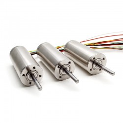 2Pcs Φ30mm 24V/48V Dual Shaft Brushless Coreless DC Motor TBC3067 0.973kg.cm/0.9kg.cm 160W