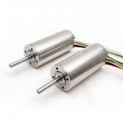 2Pcs Φ30mm 24V/48V Dual Shaft Brushless Coreless DC Motor TBC3067 0.973kg.cm/0.9kg.cm 160W