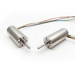 2Pcs Φ30mm 24V/48V Dual Shaft Brushless Coreless DC Motor TBC3067 0.973kg.cm/0.9kg.cm 160W