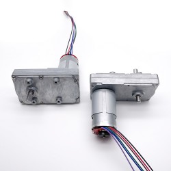 2Pcs 12V/24V Brushed DC Gearmotor GM100F-555PM PMDC Motor with Reduction Ratio 60~365 Rectangular Spur Gearbox