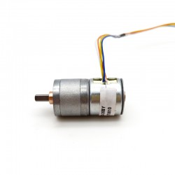 2Pcs 12V Micro DC Stepper Gear Motor GM20-20BY 18° 120mA 2.5kg.cm 2 Phase with Ratio 29~488 Gearbox