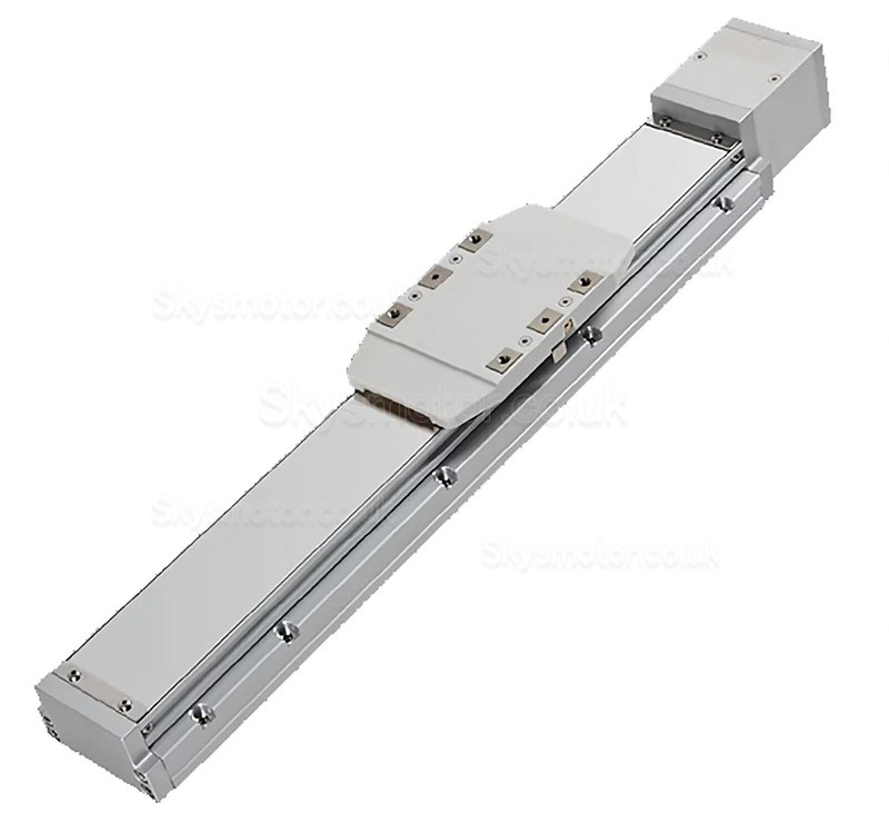 Double Rail Linear Module Linear Guide Actuator FCH60 50-1000mm with 400W Servo Motor