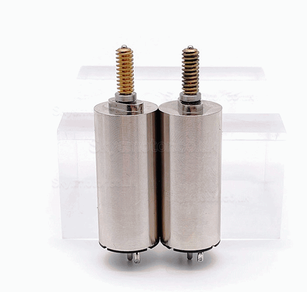 2Pcs Φ16mm 24V DC Coreless Brushed Motor TDC1636 1.96mN.m 2W Shaft 1.5mm